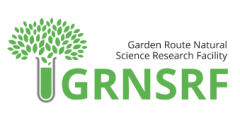 grnsrf logo